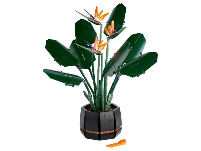 LEGO Set Bird of Paradise - Botanicals (Botanical Collection) (10289) — set armado