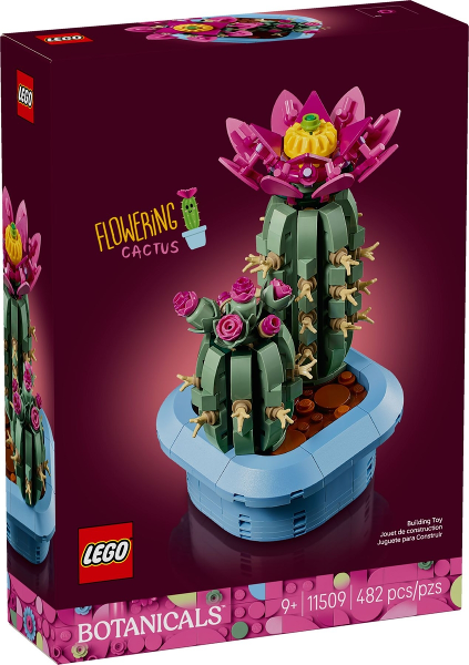 Flowering Cactus — caja oficial