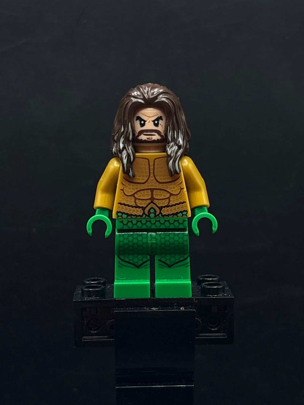 Aquaman - Dark Brown Long Hair, Green Legs - Foto real - DagaBlocks