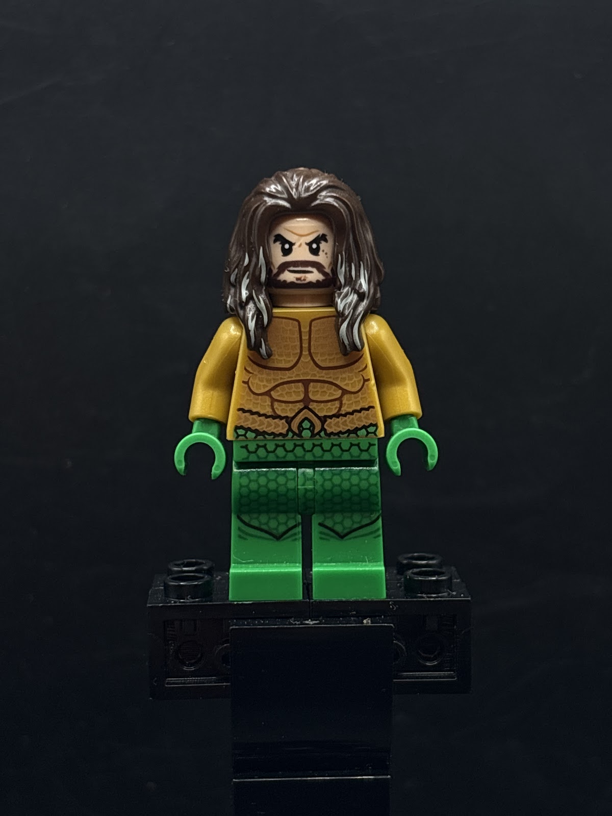 Aquaman - Dark Brown Long Hair, Green Legs - Foto real - DagaBlocks