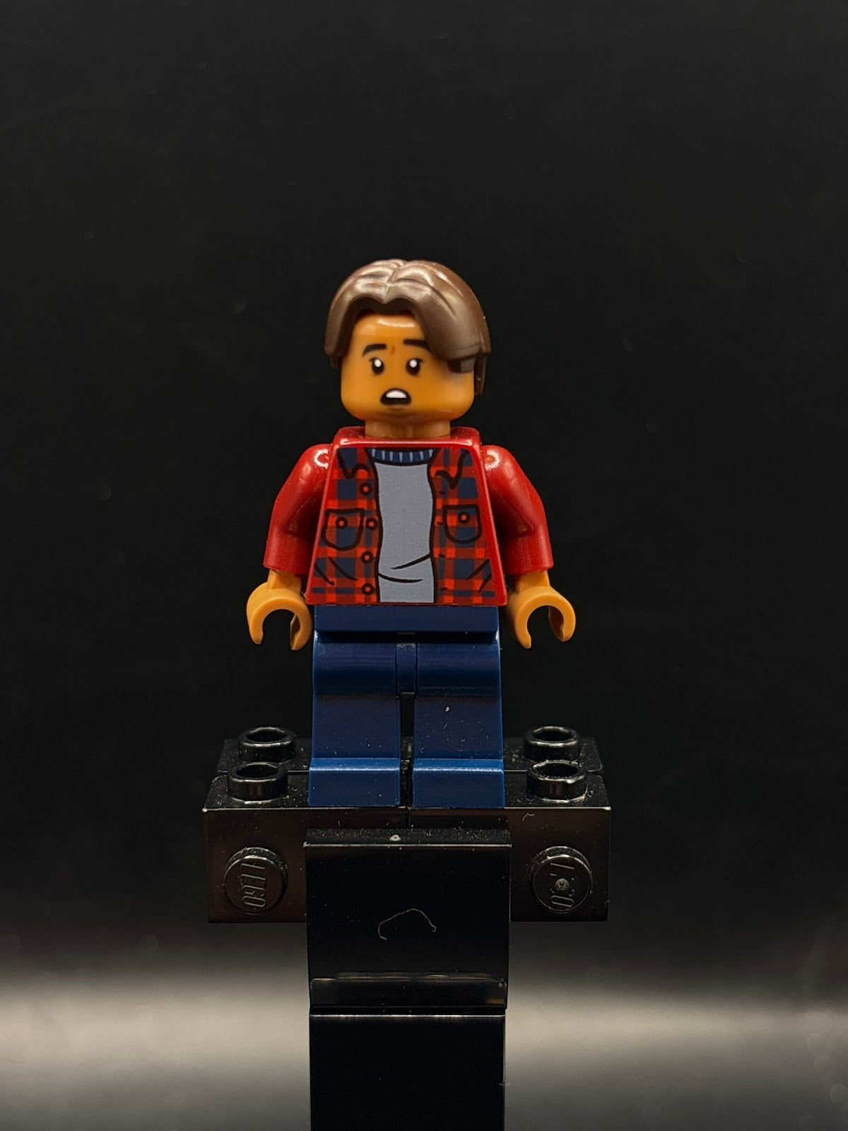 Ned Leeds - Dark Red Plaid Shirt, Dark Blue Legs - Foto real - DagaBlocks