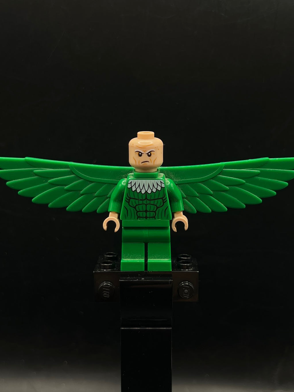 Vulture, Green Costume and Falcon Wings - Foto real - DagaBlocks