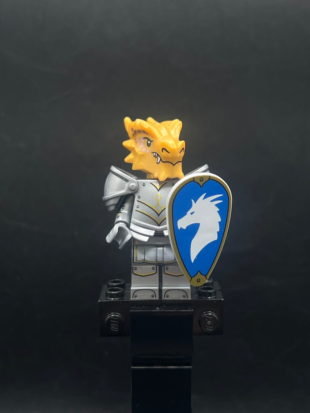 Dragonborn Paladin, Dungeons &amp; Dragons (Minifigure Only without Stand and Accessories) - Foto real - DagaBlocks