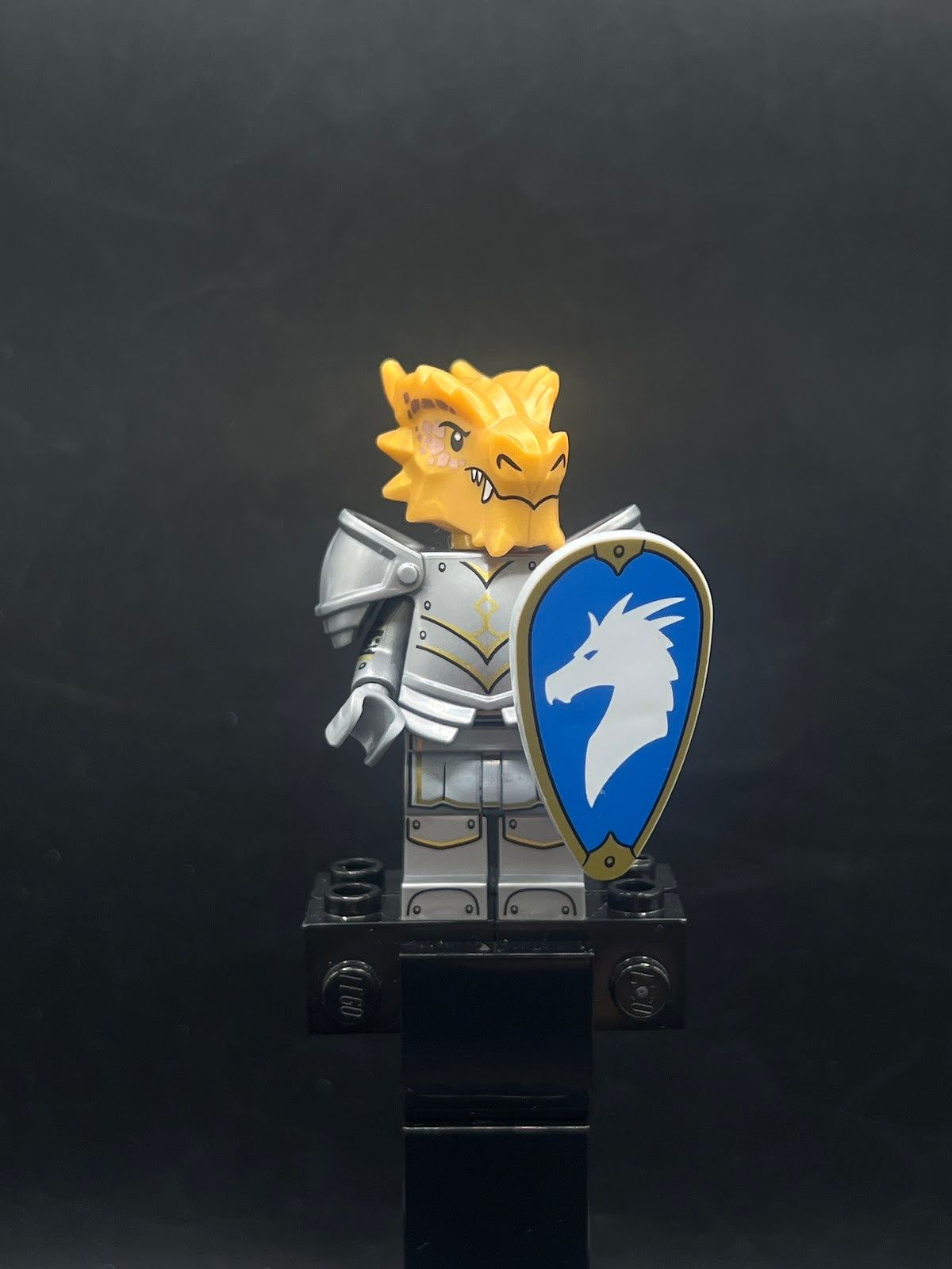 Dragonborn Paladin, Dungeons &amp; Dragons (Minifigure Only without Stand and Accessories) - Foto real - DagaBlocks