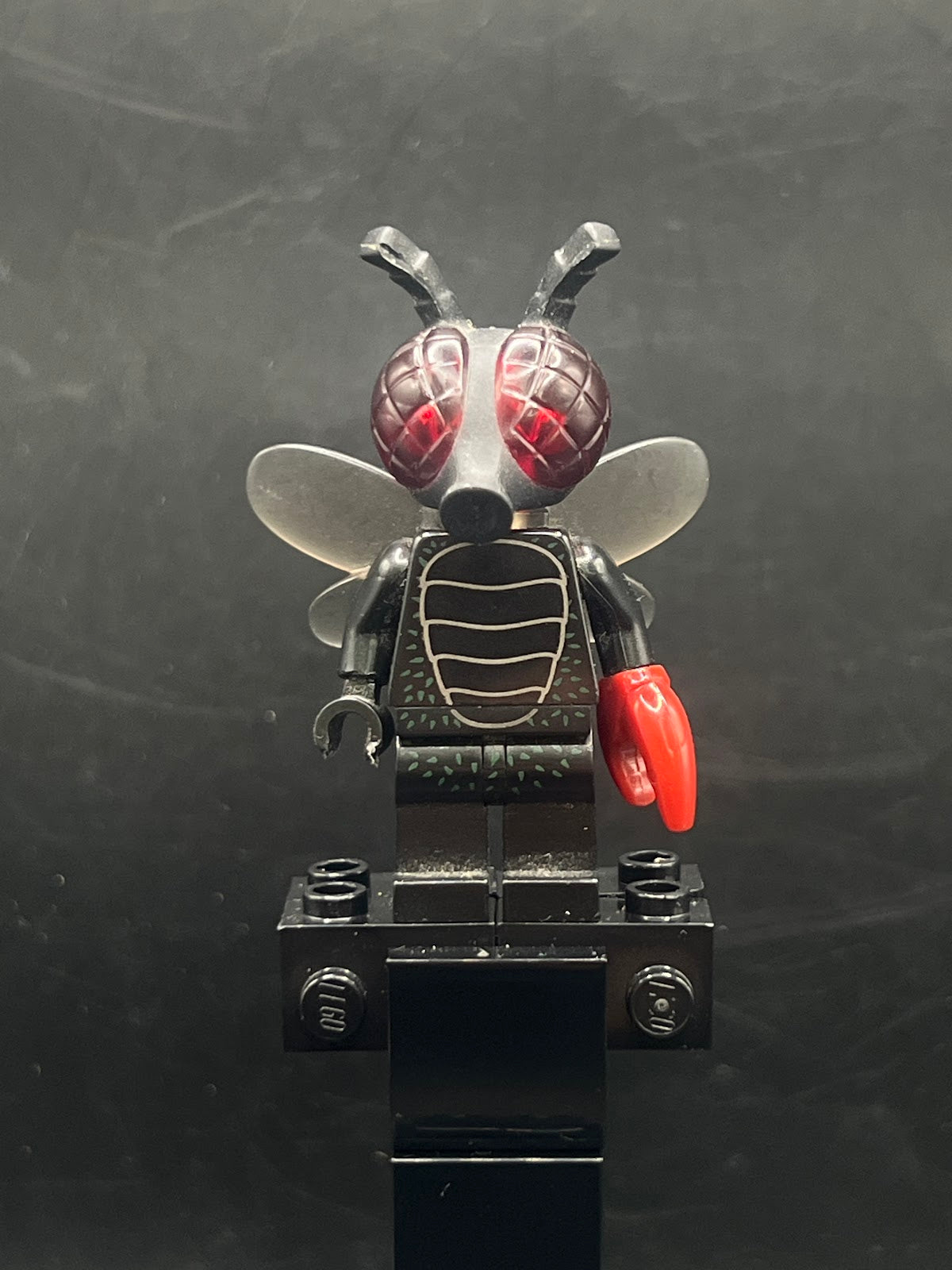 Fly Monster, Series 14 (Minifigure Only without Stand and Accessories) - Foto real - DagaBlocks