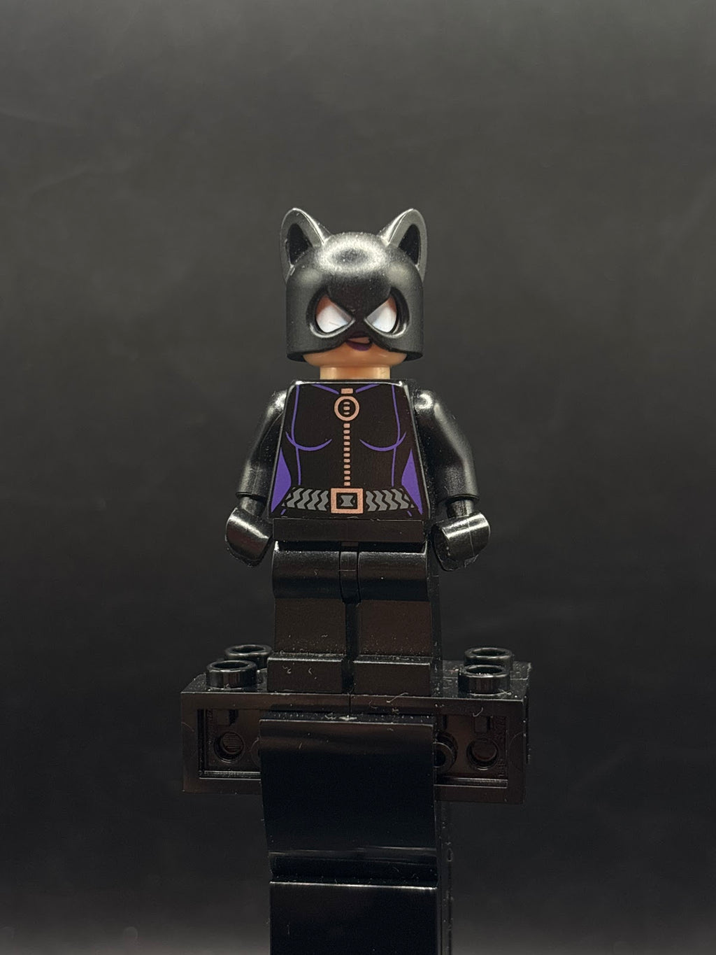 Catwoman - Black Suit with Dark Purple Trim, Dark Purple Lips - Foto real - DagaBlocks