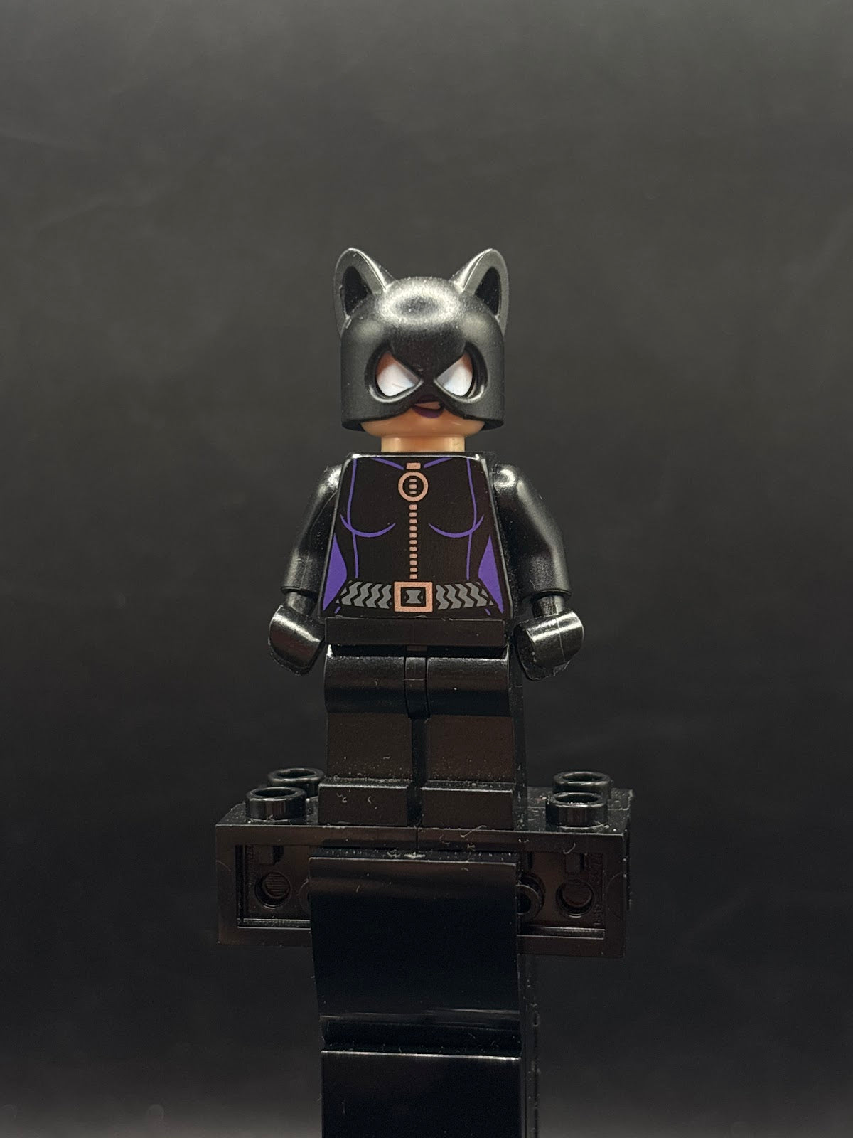 Catwoman - Black Suit with Dark Purple Trim, Dark Purple Lips - Foto real - DagaBlocks