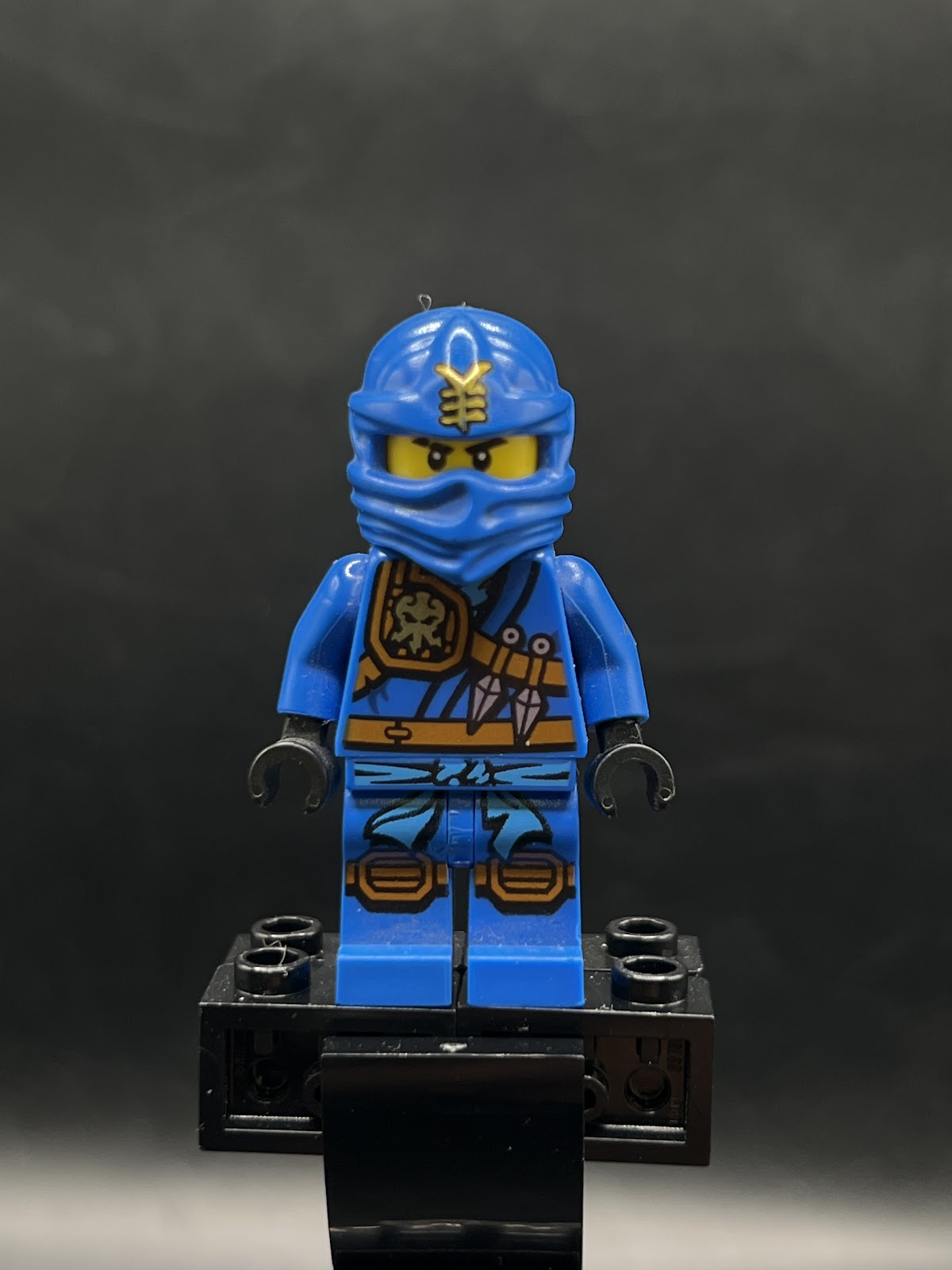 Jay (Jungle Robe) - Tournament of Elements - Foto real - DagaBlocks