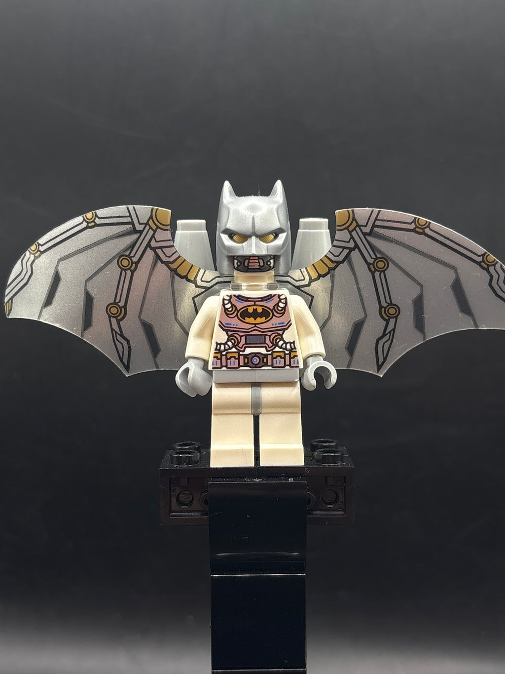 Space Batman - Foto real - DagaBlocks