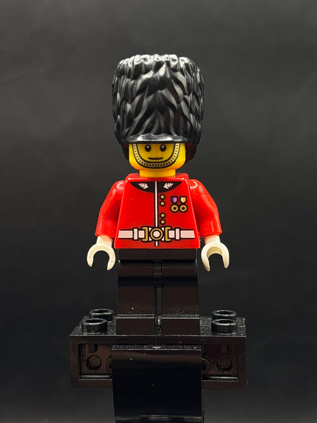 Royal Guard - Foto real - DagaBlocks