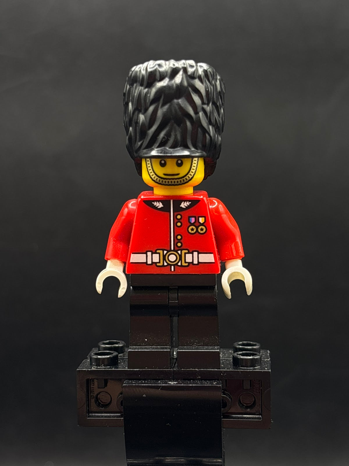 Royal Guard - Foto real - DagaBlocks