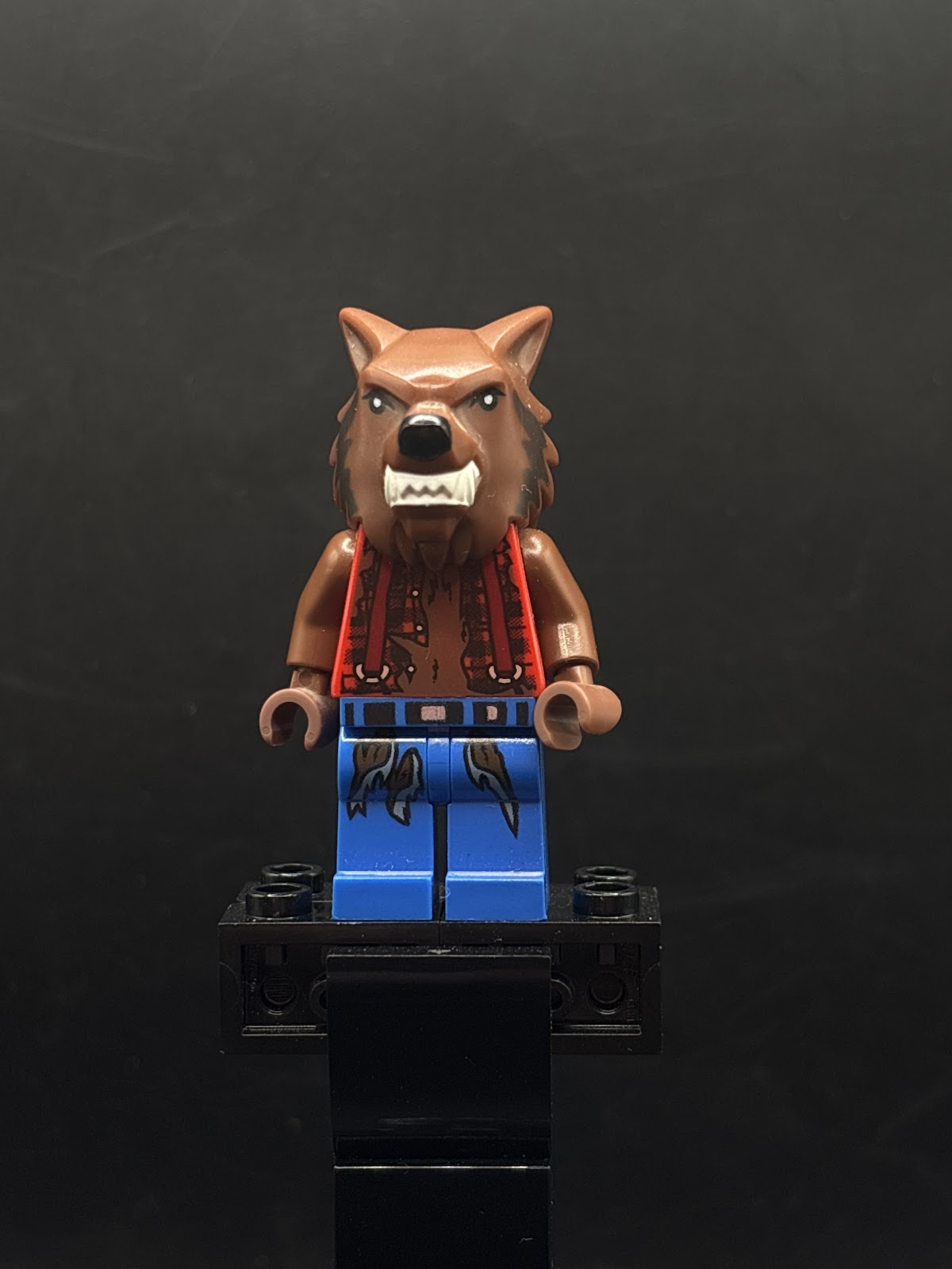 Werewolf - Foto real - DagaBlocks