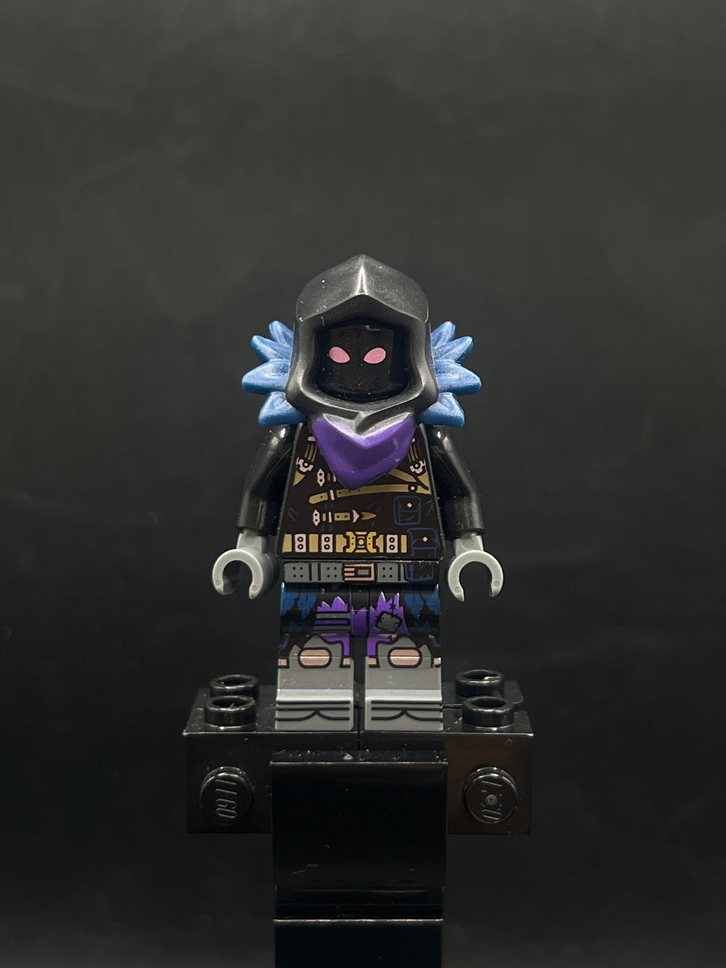 Raven - Foto real - DagaBlocks