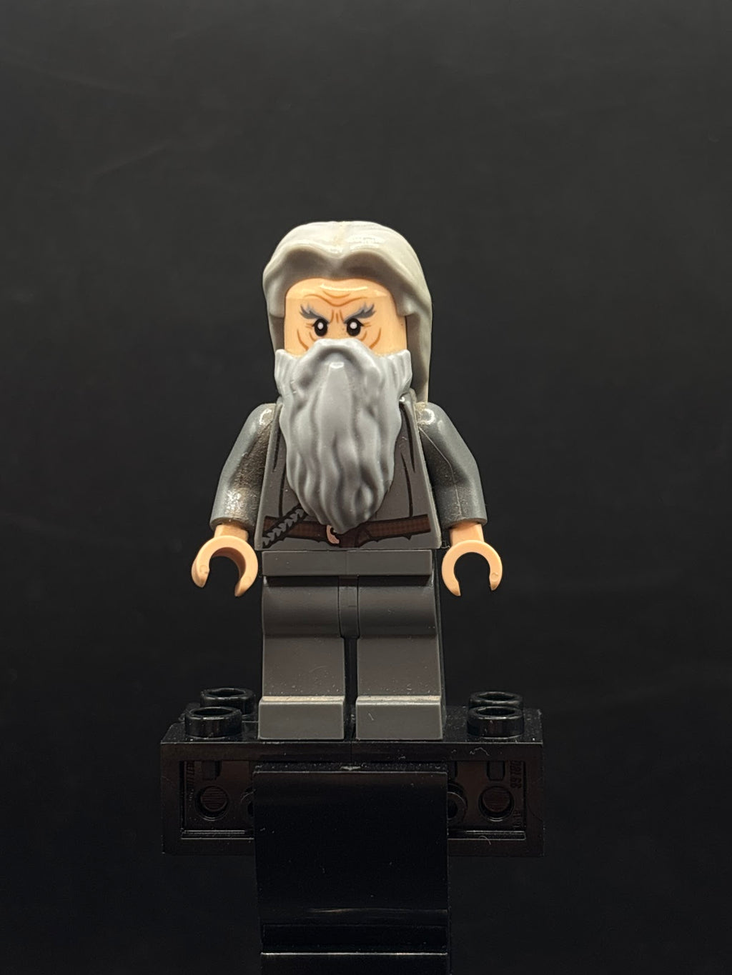 Gandalf the Grey - Hair - Foto real - DagaBlocks