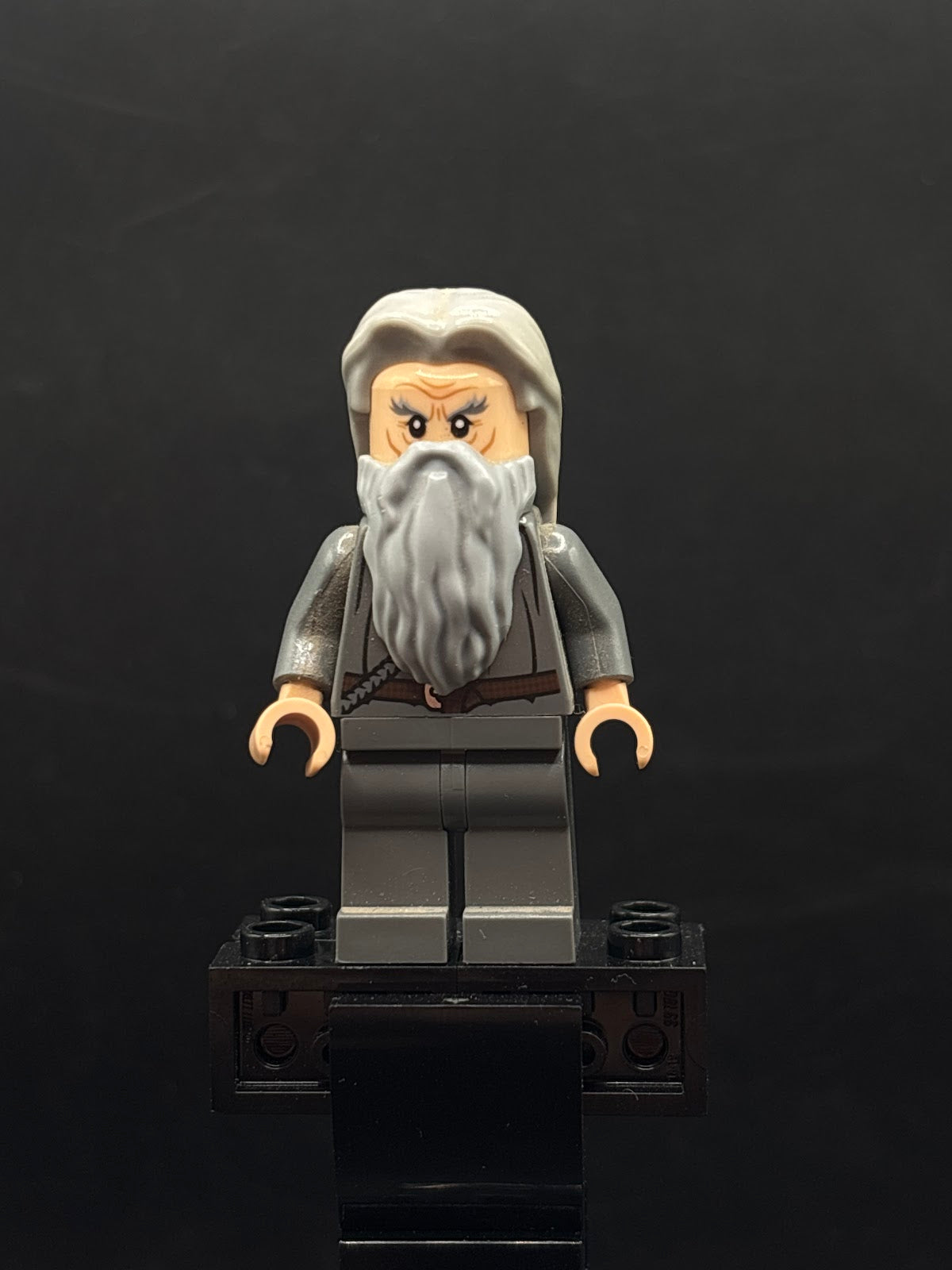 Gandalf the Grey - Hair - Foto real - DagaBlocks