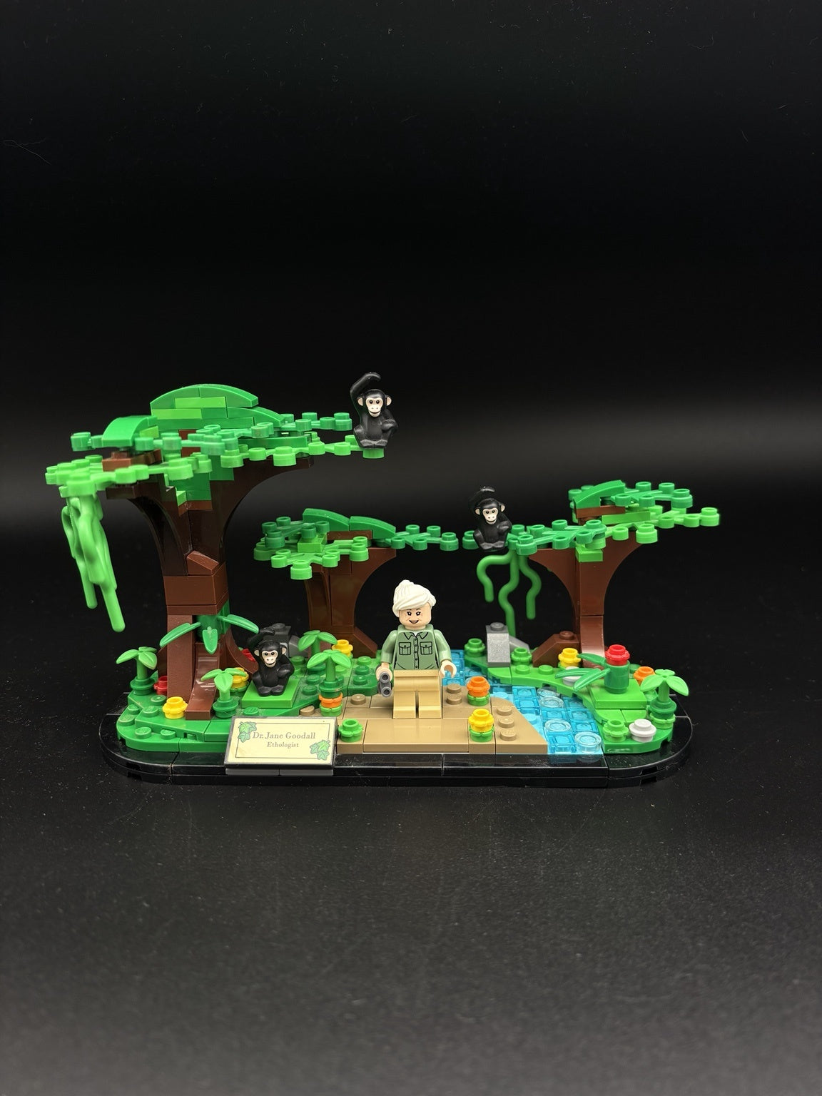 Jane Goodall Tribute — frente