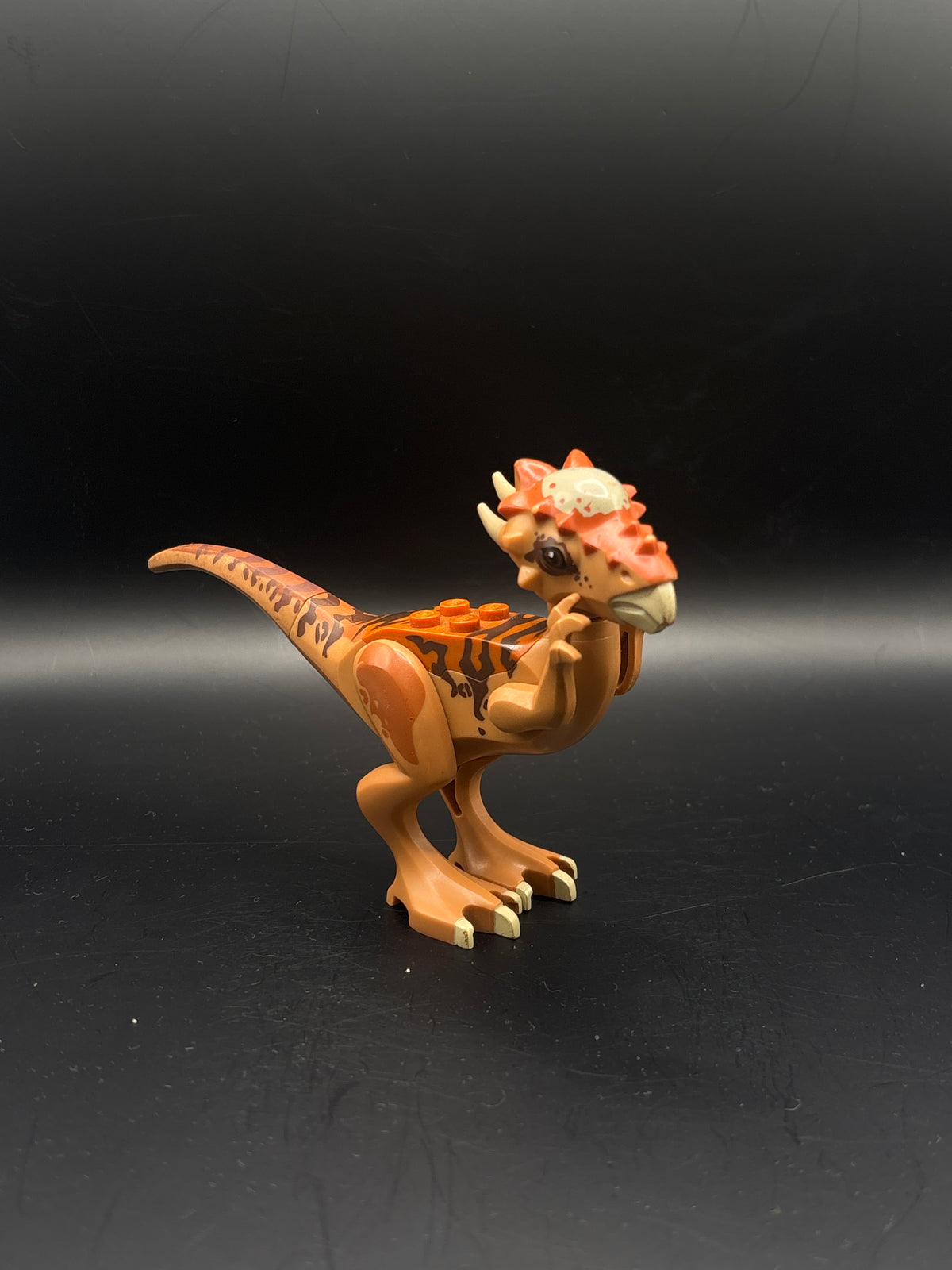 Dinosaur Stygimoloch with Dark Orange Back and Dark Brown Stripes — frente