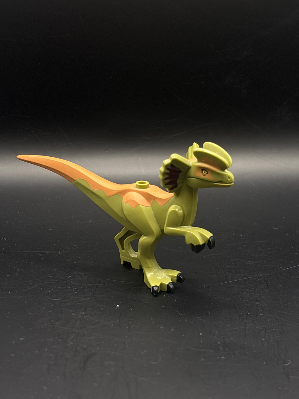 Dinosaur Body Dilophosaurus with Rubbery Tail, Dark Red and Medium Nougat Markings Pattern — frente