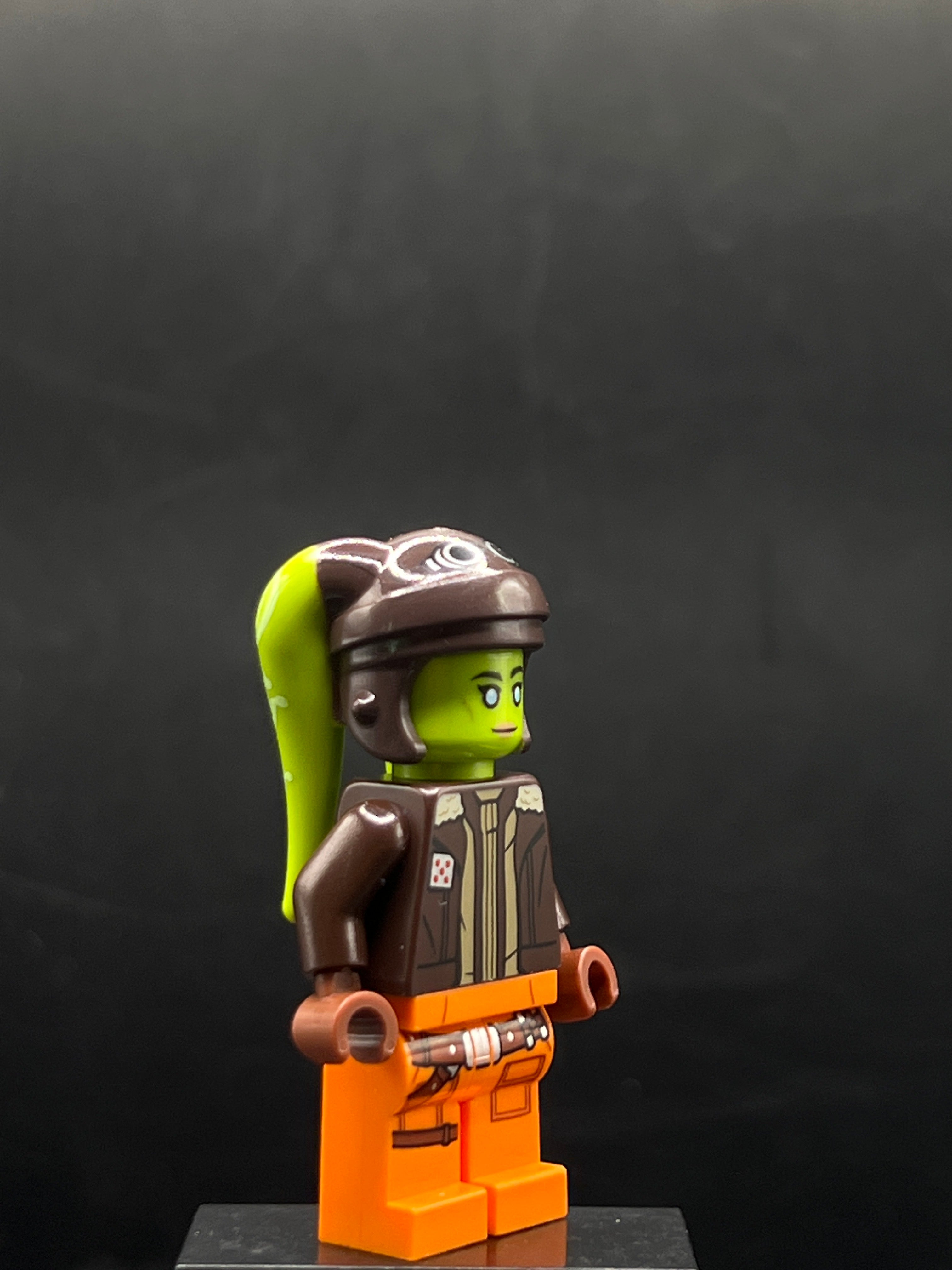 Hera Syndulla - Dark Brown Arms — frente