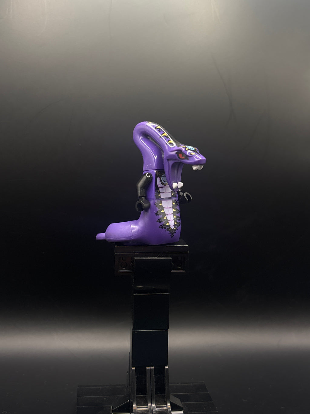Pythor Chumsworth - Purple with Black — frente