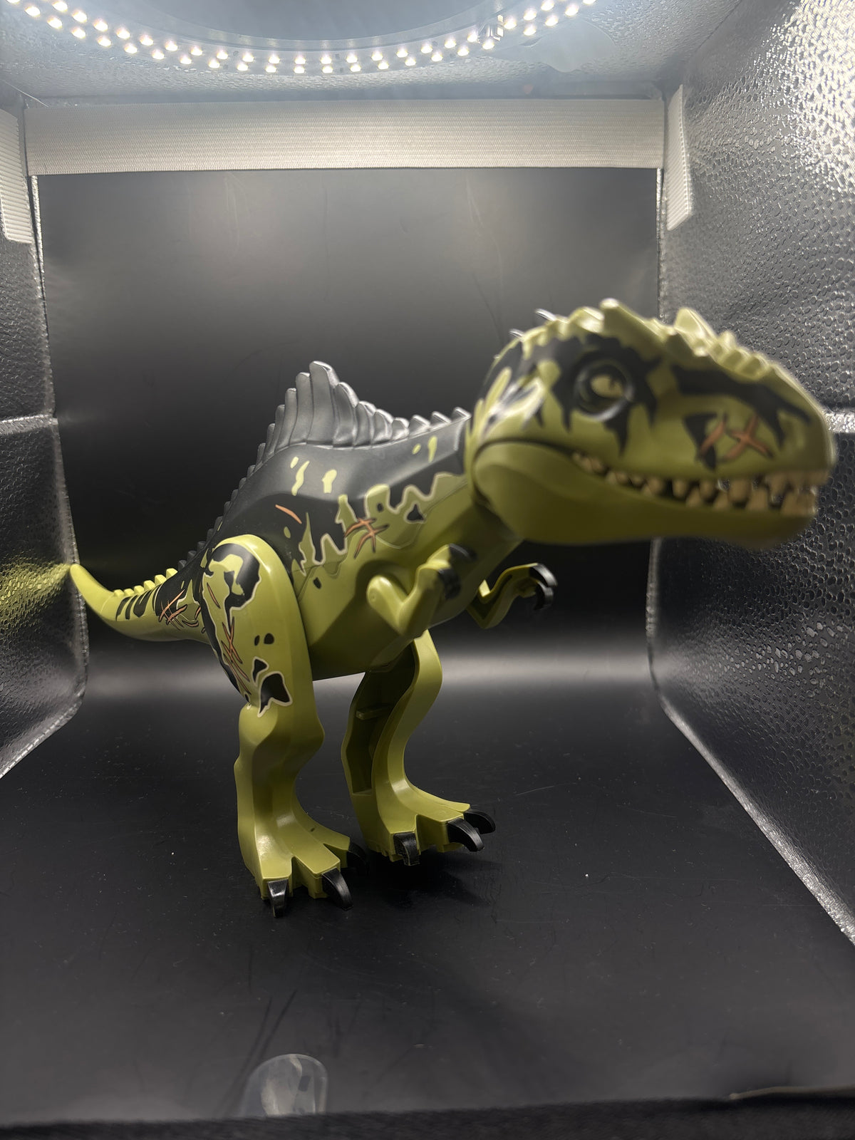 Dinosaur Giganotosaurus — frente