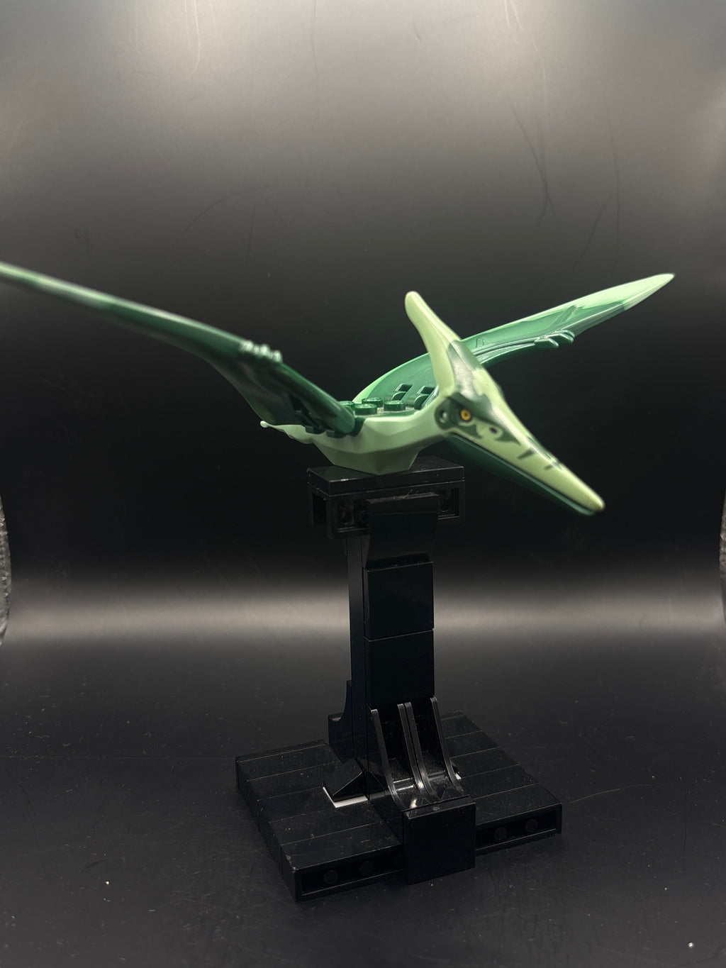 Dinosaur Pteranodon with 4 Studs with Dark Green Back and Forehead — frente