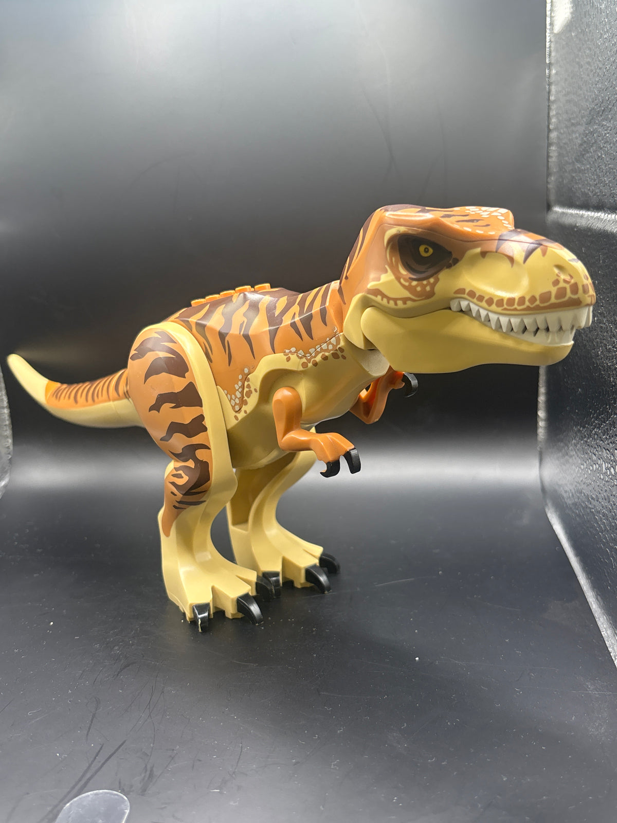 Dinosaur Tyrannosaurus rex with Medium Nougat Back — frente
