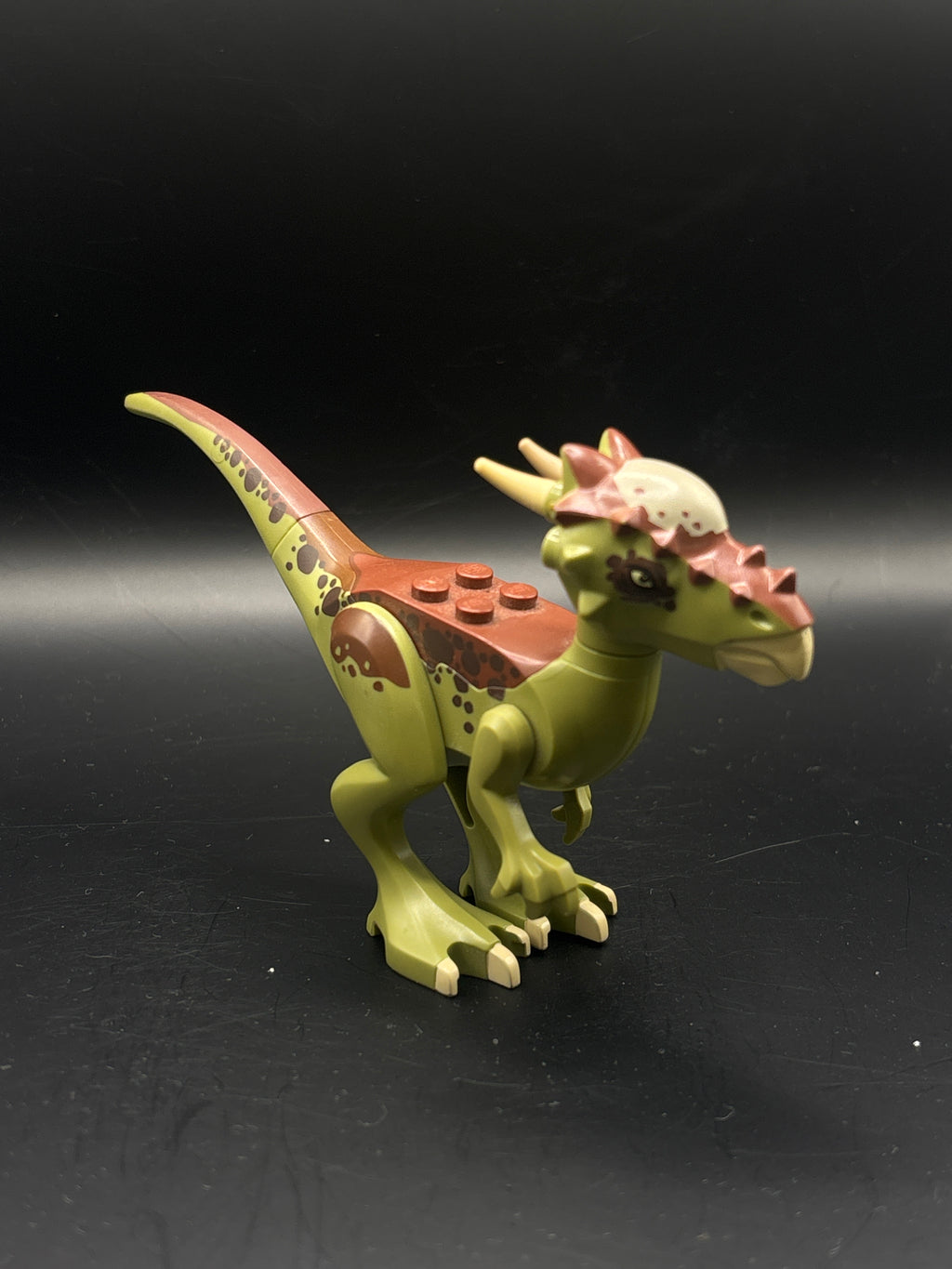 Dinosaur Stygimoloch with Reddish Brown Back and Dark Brown Spots — frente