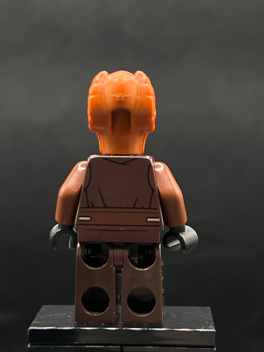 Plo Koon - Dark Brown Robe, Dark Tan Shirt — espalda