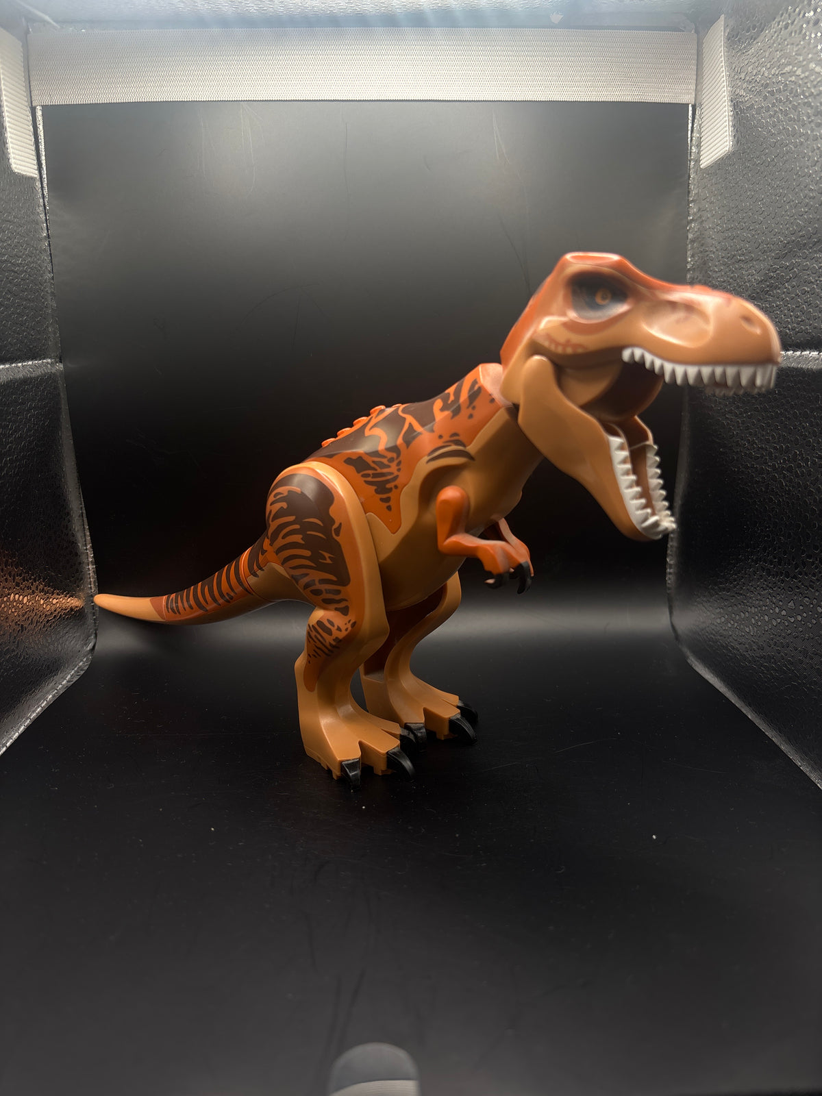 Dinosaur Tyrannosaurus rex with Dark Orange Back and Dark Brown Markings — frente