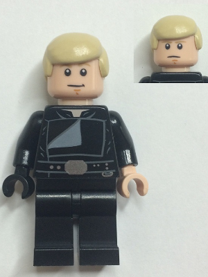 Luke Skywalker (Jedi Master, Endor, Tan Hair, Stern / Smile) - BrickLink - DagaBlocks